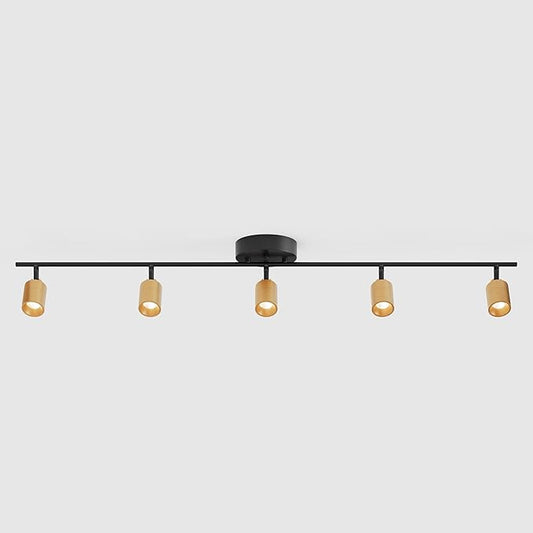 Shura Black & Brass 5-Light Track Light with Adjustable Heads, Integrated LED Bulbs, 4 ft. Track Lighting Kit Ceiling Light, 3000k, 2450 Lumens