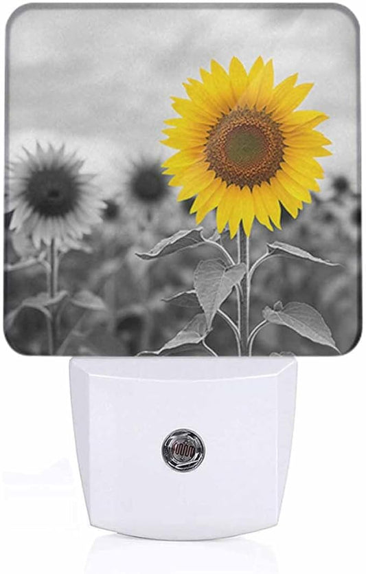 Sunflower Night Light Flowering Plant Leaves LED Night Lights Plug into Wall for Stairway Hallway Bedroom 0.5W Nightlight