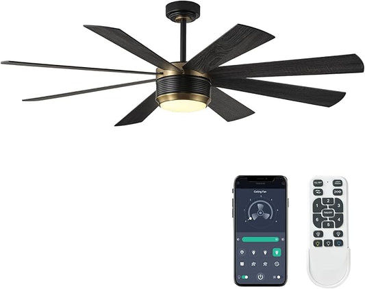 SHOWDI Ceiling Fan with Lights and Remote Control, 8 Blade App Commercial Industrial Reversible Stepless Brightness and Color Temperature Ceiling Fan with Light (Black-gold, 60 Inch)