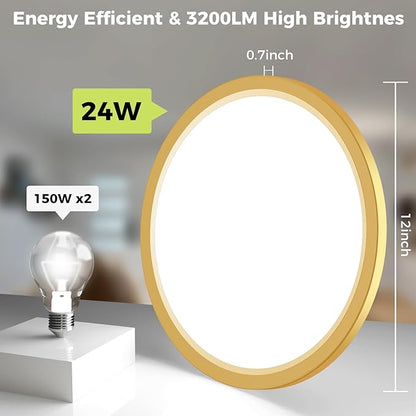 2Pack LED Flush Mount Ceiling Light Fixture Golden, 12Inch 24W, Dimmable&3000K-6500K Adjustable Low Profile Ceiling Lights, 3200LM Modern Lamp for Kitchen, Bedroom, Porch, Hallway