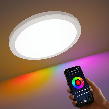 DeckTok 12 Inch Smart Ceiling Light, 2400LM RGBCW LED Flush Mount Ceiling Light Work with App & Voice Control, 2700K-6500K Dimmable LED Ceiling Light Fixture for Living Room Bedroom Game Room, 1 Pack