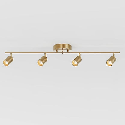 Shura Brushed Brass 4-Light Track Light with Adjustable Heads, Integrated LED Bulbs, 3 ft. Track Lighting Kit Ceiling Light, 3000k, 2240 Lumens