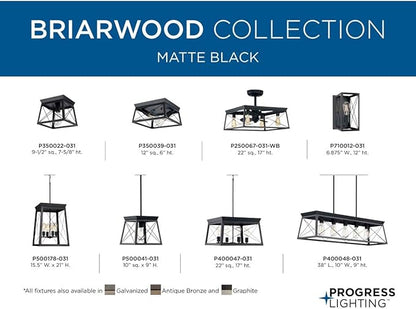 Progress Lighting Briarwood Collection 22-Inch 3-Blade AC Motor Farmhouse Ceiling Fan Matte Black, 17.00x22.00x22.00