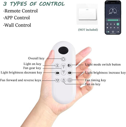 NKPU Ceiling Fans with Lights, Low Profile Ceiling Fan with Light and Remote/APP Control, DC Motor, Noiseless, Flush Mount, 52inch Black Ceiling Fan for Bedroom Indoor/Outdoor Use
