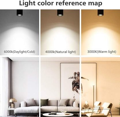 LED Ceiling Spotlight-Indoor 360°Adjustable Surface Mounted 10W COB Ceiling Downlight-Wall Lamp for Picture Background Wall Display Lighting(Black,6000K Cold Light)