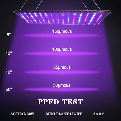Grow Light for Indoor Plants - SERWING 200W LED Grow Light Full Spectrum, Plant Growing Lamp for Indoor Cultivation, Greenhouse, Grow Tent, Hydroponics (Full Spectrum)