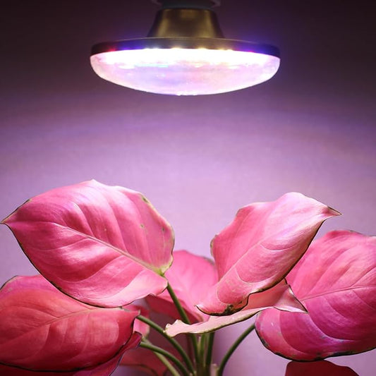 LED Grow Lights for Indoor Plants, Full Spectrum Plant Growing Lamp, E26/E27 10W Grow Light, Red Blue Grow Light for Seeds and Greens