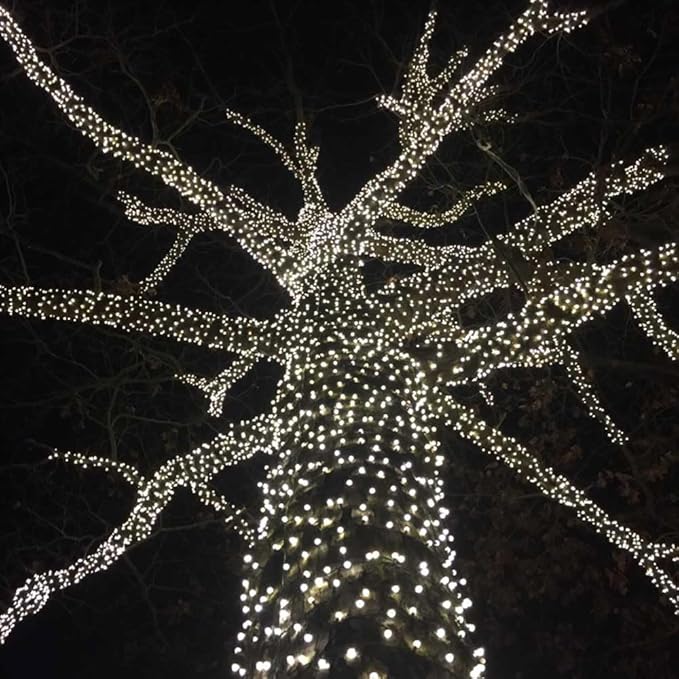 Novelty Lights 50ft 100 LED Pure White Christmas Lights Outdoor/Indoor, 6" Spacing, Green Wire String Lights for Festive Xmas Lighting, IP55, UL Listed, Dimmable, Connectable