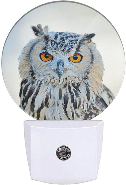 Watercolor Bird Night Light White Owl Night Lights Plug into Wall 0.5W LED Lighting Auto on/Off for Hallway Stairway Kitchen Home Decor