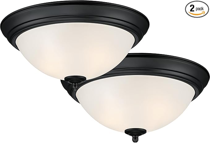 Designers Fountain Flush Mount Ceiling Light, 11 Inch Frosted Glass Lighting Fixture for Kitchen, Bedroom, Bathroom, and Hallway, LED Bulbs Not Included, Matte Black