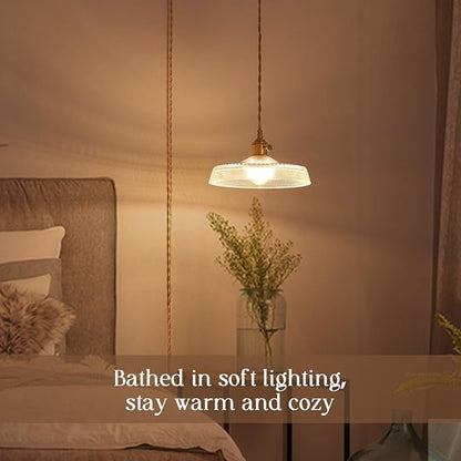 Plug in Pendant Light,9.1 Inch Glass Lampshade 14Ft Hanging Lights with Plug in Cord On/Off Switches Industrial Pendant Lights with Plug in Cord for Bedroom