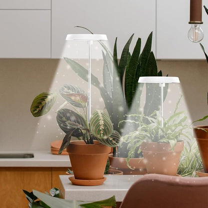 GYTF Halo Plant Grow Light, 6000K White LED Full Spectrum Growing Lamp for Indoor Plants, Succulents, Mini Bonsai, Small Plants, Height Adjustable, Dimmable & Timer 4/8/12/18Hrs,4 Pack