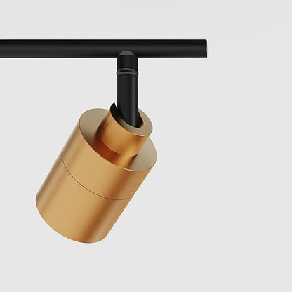 Shura Black & Brass 2-Light Track Light with Adjustable Heads, Integrated LED Bulbs, 15 in. Track Lighting Kit Ceiling Light, 3000k, 1120 Lumens