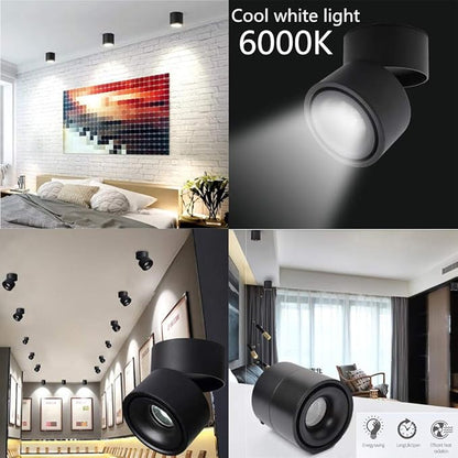 LED Ceiling Spotlight-Indoor 360°Adjustable Surface Mounted 10W COB Ceiling Downlight-Wall Lamp for Picture Background Wall Display Lighting(Black,6000K Cold Light)