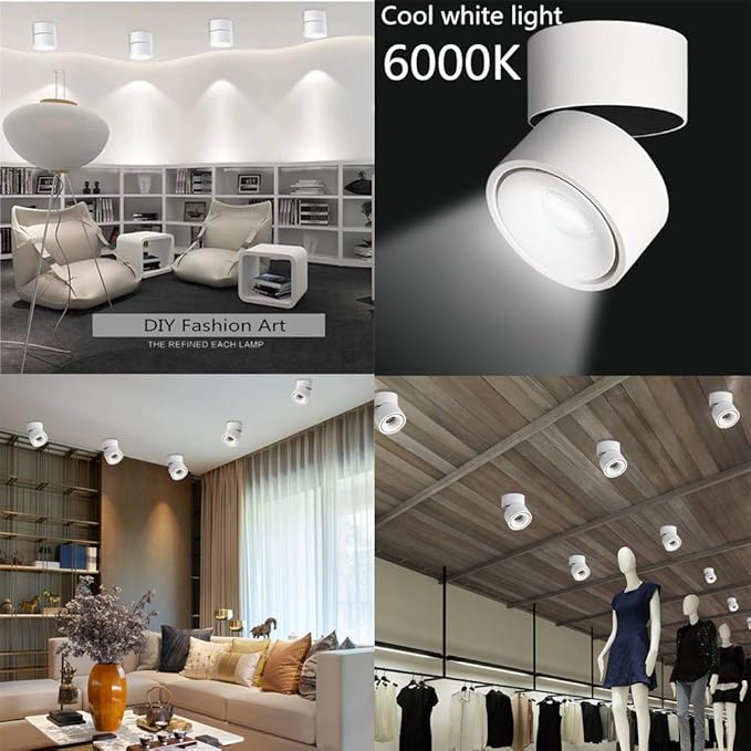 LED Ceiling Spotlight-Indoor 360°Adjustable Surface Mounted 10W COB Ceiling Downlight-Wall Lamp for Picture Background Wall Display Lighting(White,6000K Cold Light)