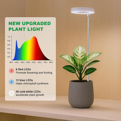 2 Pack Grow Light with Base, 6000K White Full Spectrum Growing Light Lamp for Indoor Small Mini Micro Green Pot Plants, 5-Level Dimmable, Auto Timer 4/8/12/18 Hrs