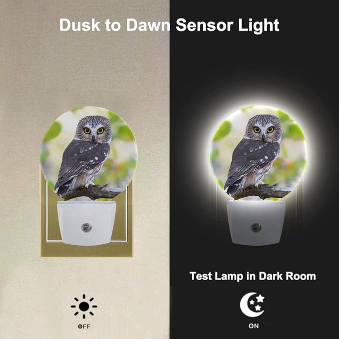 Bird Night Lights Plug into Wall Watercolor Owl Portrait Brown Feather LED Dusk to Dawn Plug-in Nightlight Auto Sensor for Bedroom Bathroom Hallway Living Room