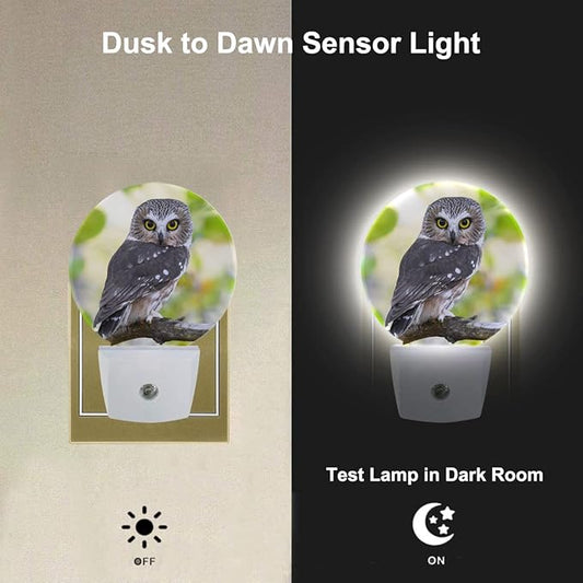 Bird Night Lights Plug into Wall Watercolor Owl Portrait Brown Feather LED Dusk to Dawn Plug-in Nightlight Auto Sensor for Bedroom Bathroom Hallway Living Room