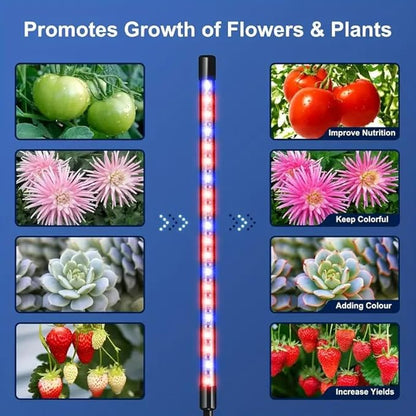 Full Spectrum 4 Heads LED Plant Grow Light with Flexible Gooseneck, 3/9/12H 3 Modes 10 Dimmable Levels, 160 LEDs Clip On Grow Light for Indoor Plants, Seed Starting, Flowers & Vegetables