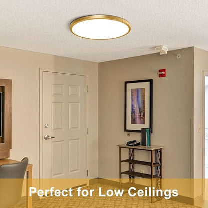 12 Inch Gold LED Ceiling Light Flush Mount, 5000K Daylight White Flat LED Ceiling Light, 24W 3200LM, Round Flat Gold Light Fixture for Bedroom, Kitchen, Hallway (2 Pack)