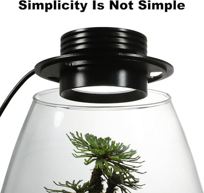 AREPK Glass Terrarium Plant Growing Lamp, for Vases Up to 4 Inches in Diameter, Light with Timer Auto On/Off, Indoor Plant Growth, Succulent, Miniature Gardening Landscape (5W 4IN)