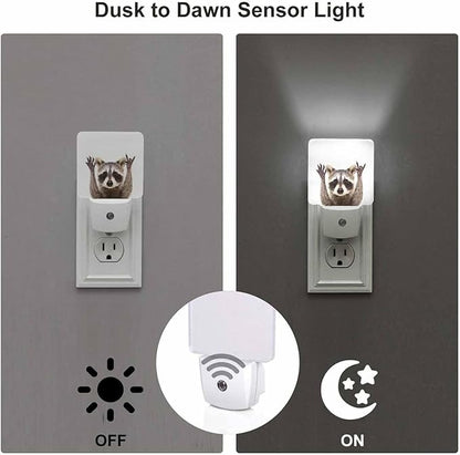 LED Night Light,Funny Cute Raccoon LED Night Light Plug into Wall with Dusk to Dawn Light Sensor White Energy Efficient Nightlight for Bedroom Bathroom Hallway Living Room Kitchen