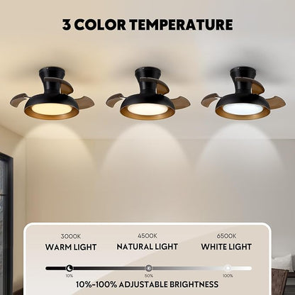 23 Inch Black and Gold Ceiling Fan with Light and Brown Retractable Blades Small Led Light Fixture Ceiling Modern Fandelier Fan Lights Cei ling Fixtures for Bedroom Dining Room Kitchen