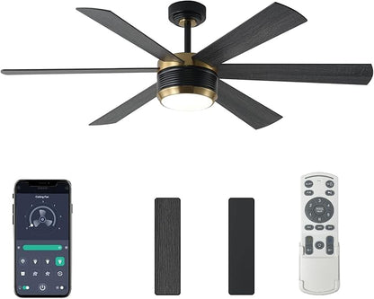 SHOWDI Ceiling Fan with Lights and Remote, 6 Blade App Control Timer Reversible Stepless Brightness and Color Temperature Outdoor Wood Ceiling Fan with Lights (Black-Gold, 56 Inch)