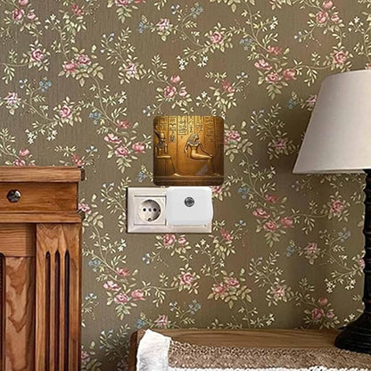 Egyptian Hieroglyphs Night Light Plug-into Wall Ancient Gold Art Nightlight Lamp with Dusk to Dawn Sensor, Led Lamp 0.5W Energy Efficient for Home Decor