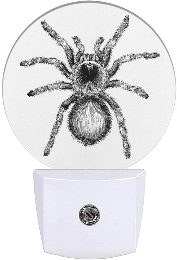 White Black Spider Net Night Light Creepy Scary Spider LED Dusk to Dawn Plug-in Nightlight Auto Sensor for Bedroom Bathroom Hallway Living Room