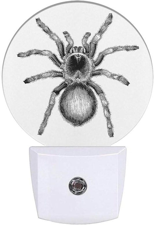 White Black Spider Net Night Light Creepy Scary Spider LED Dusk to Dawn Plug-in Nightlight Auto Sensor for Bedroom Bathroom Hallway Living Room