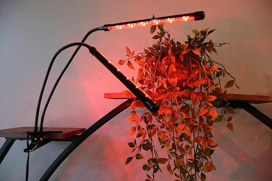 Plant Grow Light - 6000K Full Spectrum with Adjustable Red & White LEDs, 10-Level Dimming, USB Powered Clip-On Lamp for Indoor Plants, Timer Function (2 Head)