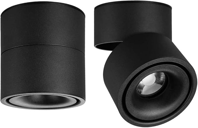 LED Ceiling Spotlight-Indoor 360°Adjustable Surface Mounted 10W COB Ceiling Downlight-Wall Lamp for Picture Background Wall Display Lighting(Black,6000K Cold Light)