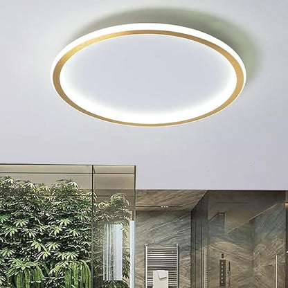 Dimmable LED Ceiling Light Fixture Flush Mount,12" Modern Round Recessed Ceiling Lamp with APP Adjustment,Gold Ceiling Lamp 3000K-6000K 33W Close to The Ceiling Lighting for Bedroom Living Room