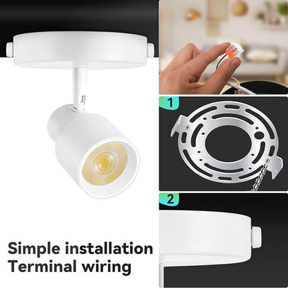 2-Pack LED Ceiling Spotlight 5-Color Dimmable 10W White Adjustable Directional Flush Mount Ceiling Spot Lights, 24° Beam Angle 1000lm CRI90+ Flicker-Free, Perfect for Art, Picture, Kitchen