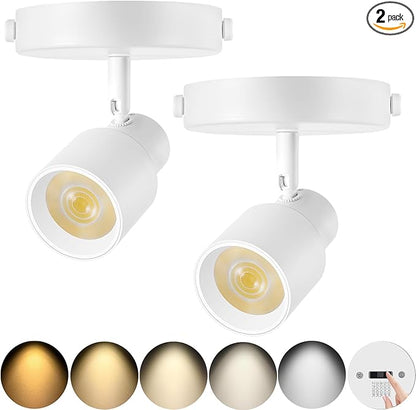 2-Pack LED Ceiling Spotlight 5-Color Dimmable 10W White Adjustable Directional Flush Mount Ceiling Spot Lights, 24° Beam Angle 1000lm CRI90+ Flicker-Free, Perfect for Art, Picture, Kitchen