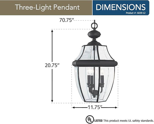 Generation Lighting 6039-12 Lancaster Traditional Three - Light Outdoor Pendant Lantern Outside Fixture, Black Finish, 40 Total Watts, 20.75 Inch Height, 11.75 Inch Diameter