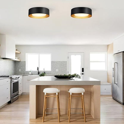Yiisem Modern Black and Gold Flush Mount Ceiling Lights, Glass Round Ceiling Lighting, Minimalist Drum Close to Ceiling Light Fixtures for Bedroom, Dining Room, Bathroom, Hallways, Living Room