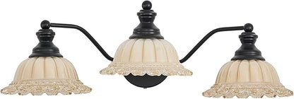 XIEDUN Black Bathroom Vanity Light 3 Light