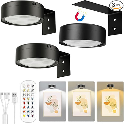 Xuolder Picture Lights for Wall,2000mAh Rechargeable Battery Poster Lights LED Magnetic Painting Light with Remote Control,3 Color Temps&12 RGB Timer Dimmable Wall Light for Art Display Wall Decor