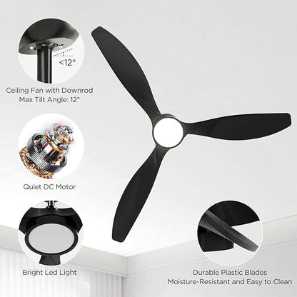 Roomratv Ceiling Fans with Lights and Remote Control,Quiet Noiseless Reversible DC Motor,6 Speeds,Timers, 3 CCT, Indoor Use, Plastic Blades,52 Inch Black Modern Ceiling Fan for Bedroom Living Room