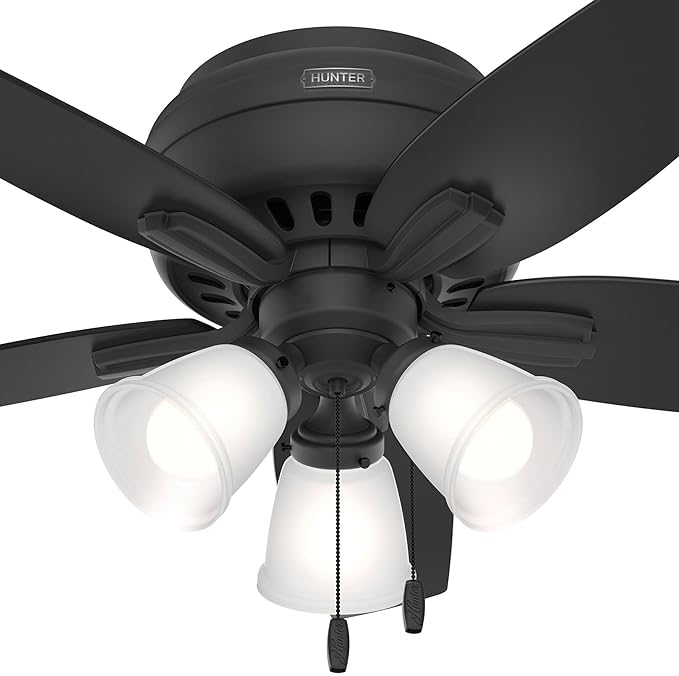 Hunter 42 inch Indoor Ceiling Fan with LED Lights - Black Ceiling Fan with Pull Chain, For Bedroom or Living Room, Low Profile Flush Mount, No Remote, 5 Blades - Newsome 52393, Matte Black