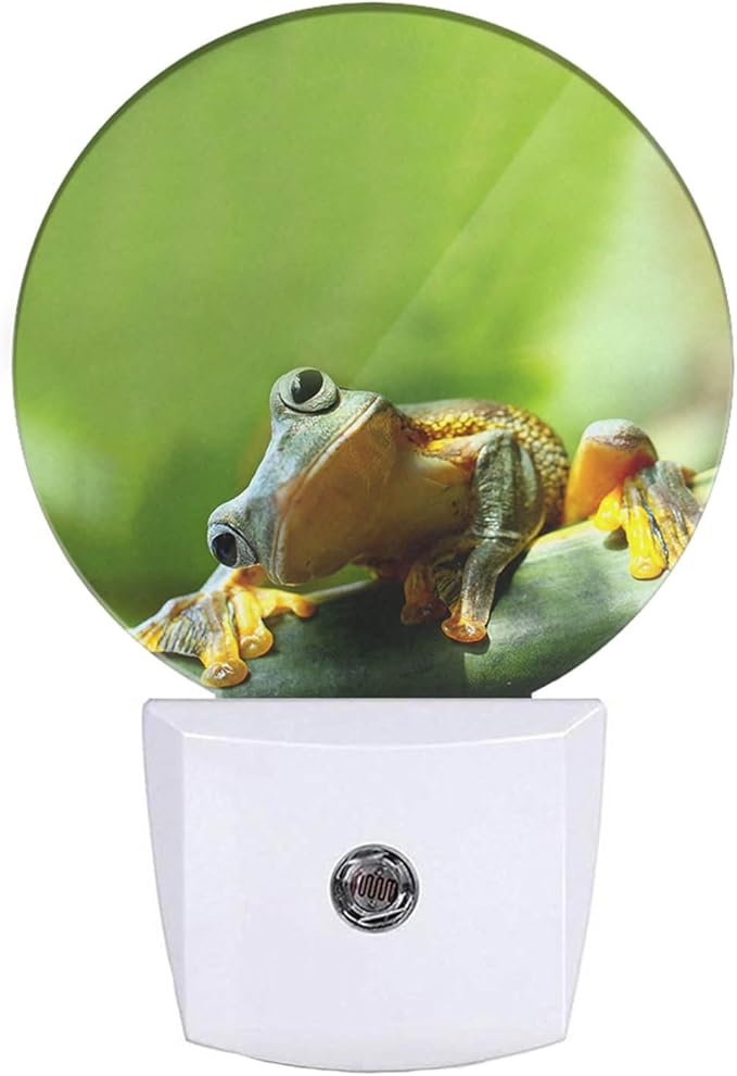 EKOBLA Frog Plug-in Night Light, Cute Green Pond Animal LED Nightlight with Auto Sensor, Dusk to Dawn Lighting for Bedroom & Bathroom