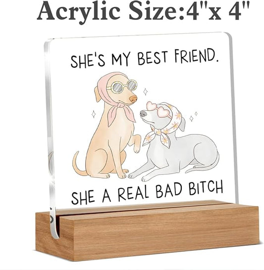 Funny Friendship Gifts for Women, Humor Christmas Birthday Gifts for Best Friend Sisters BFF, Funny Dog Acrylic Plaque Home Office Desk Decor