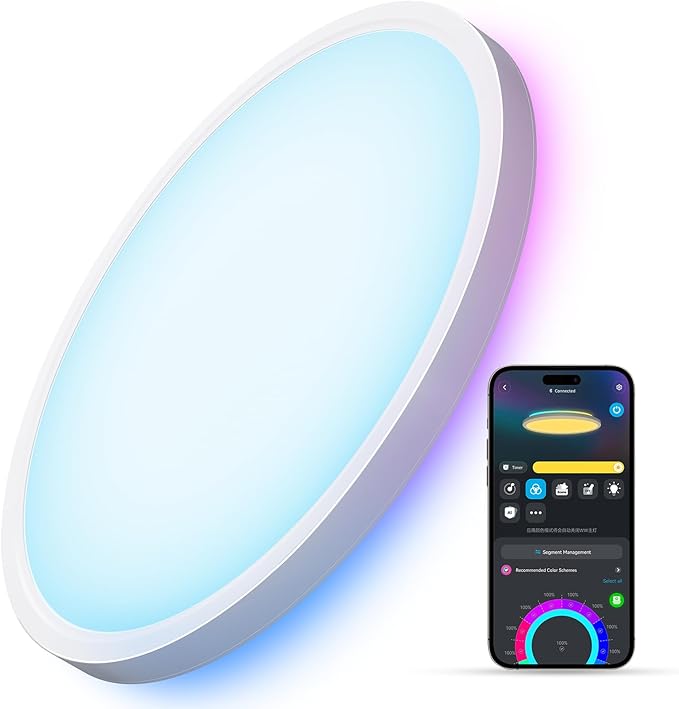 Govee Smart Ceiling Light, RGBIC LED Ceiling Light Fixture, 2400LM Flush Mount Light Fixture, DIY Colors, Works with Alexa, 2200K-6500K Lights for Bedroom, Living Room,12 Inch, 1 Pack (White)