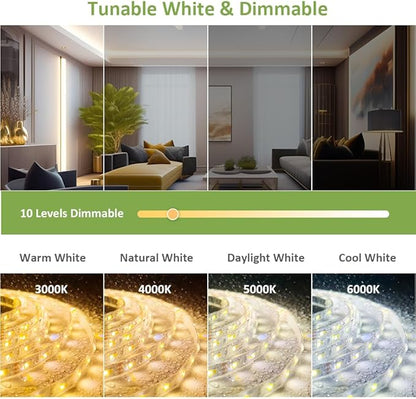 NOVOSTELLA 20ft Waterproof Tunable White LED Strip Lights, Dimmable Flexible Rope Light 3000K-6500K 12V Tape Light with Remote, Ribbon for Outdoor and Indoor Bedroom Home Mirror Kitchen Bar Cabinet