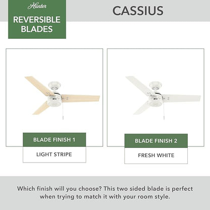Hunter 44 inch Outdoor or Indoor Ceiling Fan No Light - White Ceiling Fan without Light, For Patio, Porch, Garage, or Living Room, Standard Mount, 3 Blades, Pull Chain - Cassius 50262, Fresh White