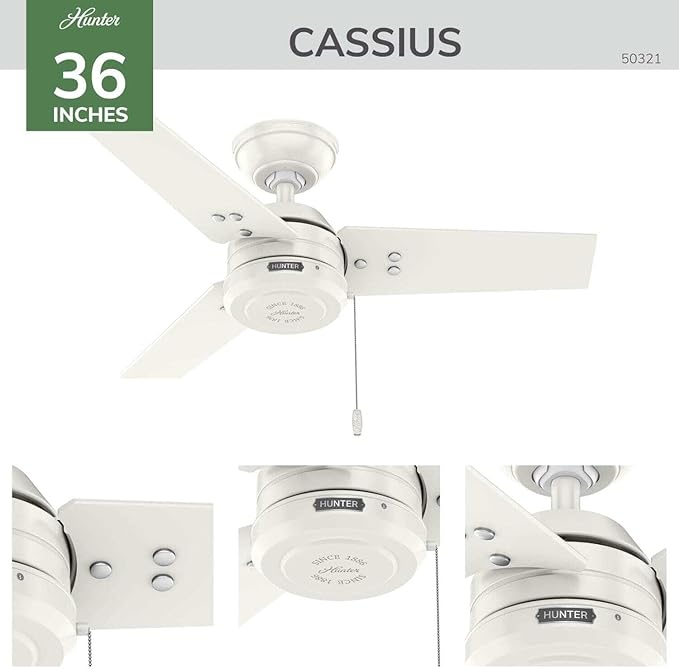 Hunter Cassius - Outdoor or Indoor Ceiling Fan No Light (Matte Black, 36 inch)