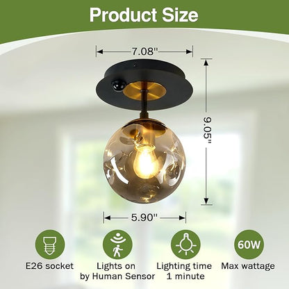 Motion Sensor Light Indoor 1-Light Mini Glass Globe Ceiling Light Fixture Modern Black Semi Flush Mount Light for Hallway Entryway Porch Stairway Closet