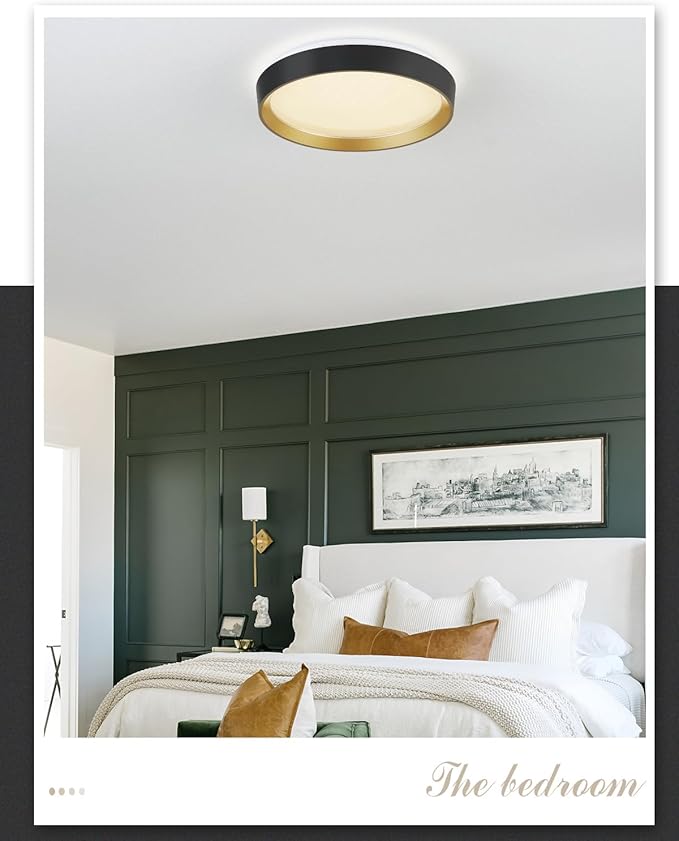 ANYLOVE 10 Inch Modern Flush Mount Ceiling Lights,White Gold Plastic Round Ceiling Light,Dimmable 3000K,3500K,4000K,5000K,6000K,for Living Room,Dining Room,Bedroom,Kitchen (Black and Gold, 10 Inch)